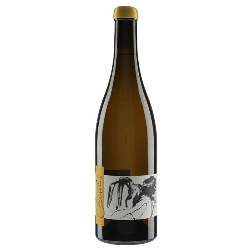 Domaine Pattes Loup - Thomas Pico Chablis | french wine