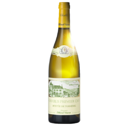 Domaine Billaud-Simon Chablis Montée De Tonnerre | french wine