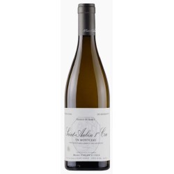 Domaine Marc Colin Et Fils Saint-Aubin 1er Cru En Montceau | french wine