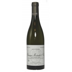 Domaine Marc Colin Chassagne-Montrachet 1er Cru Les Champs Gains | french wine