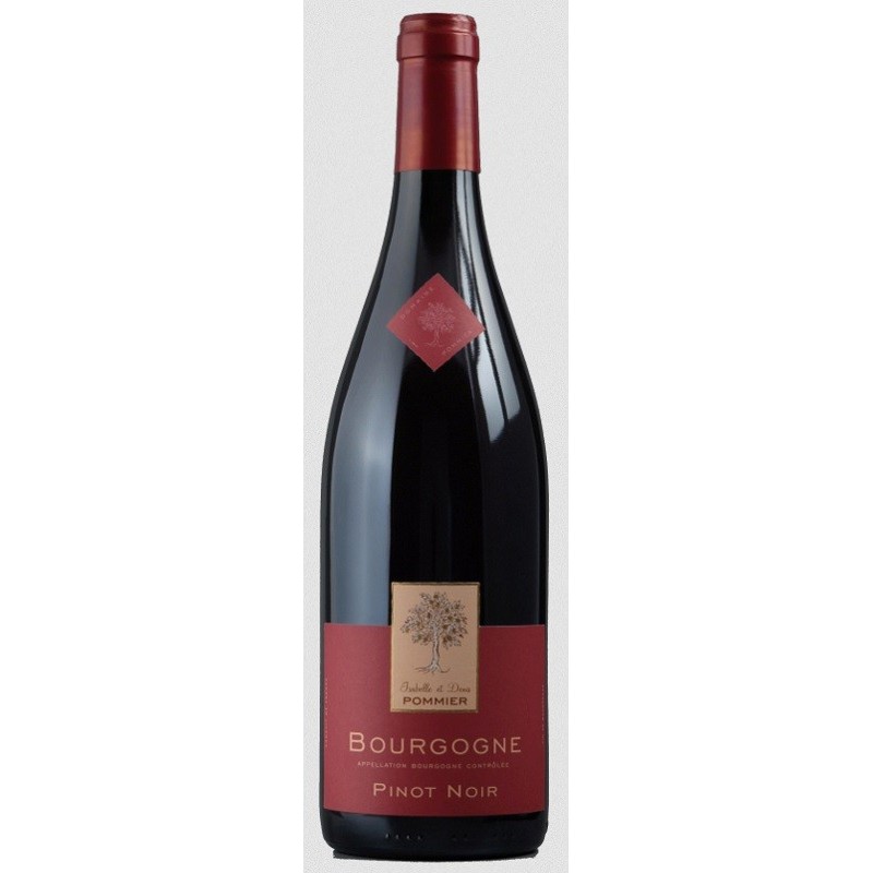 Domaine Pommier Bourgogne Pinot Noir | French Wine