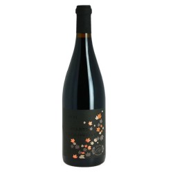 Domaine Olga Raffault Chinon La Singuliere | French Wine