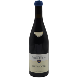 Domaine Dureuil-Janthial - Bourgogne Rouge | French Wine