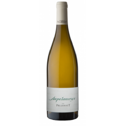 Domaine De Pellehaut Ampelomeryx Blanc | French White Wine