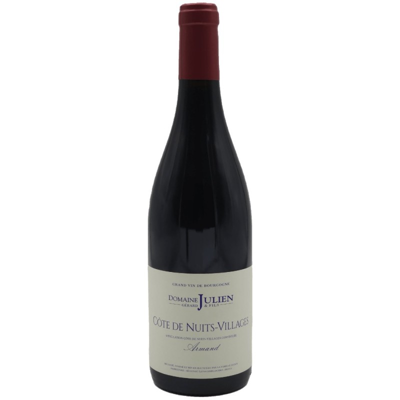 Domaine Julien-Cotes De Nuits Villages Armand | French Red Wine