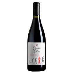 Domaine Le Conte Des Floris Languedoc 6 Rah Noir Bio | French Red Wine
