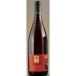 Domaine Pommier Bourgogne Grain De Survie Pinot Noir | French Red Wine