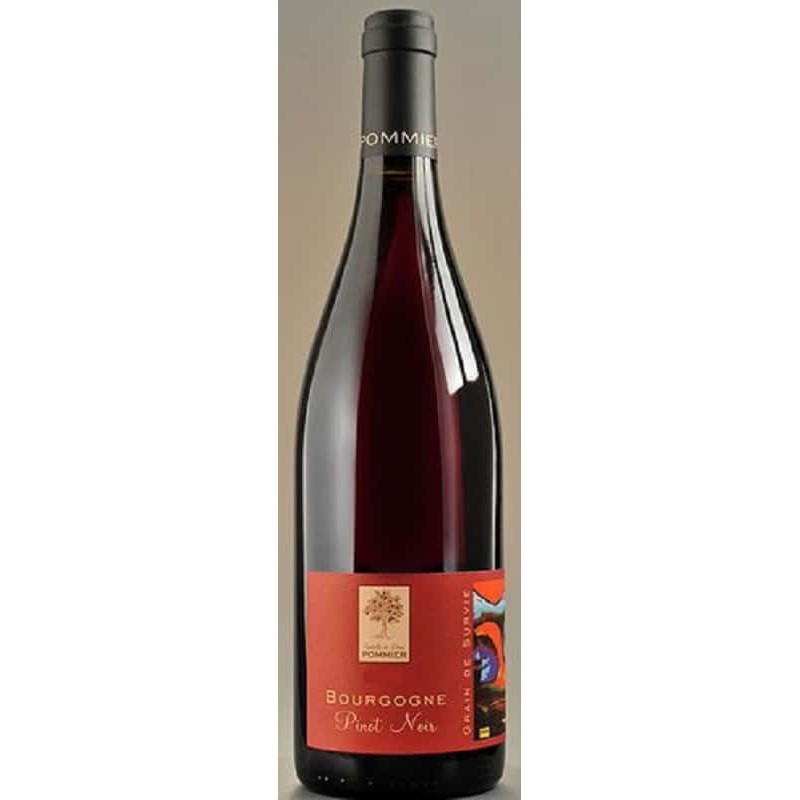 Domaine Pommier Bourgogne Grain De Survie Pinot Noir | French Red Wine