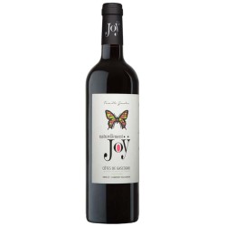 Domaine De Joy Naturellement Joy | French Red Wine