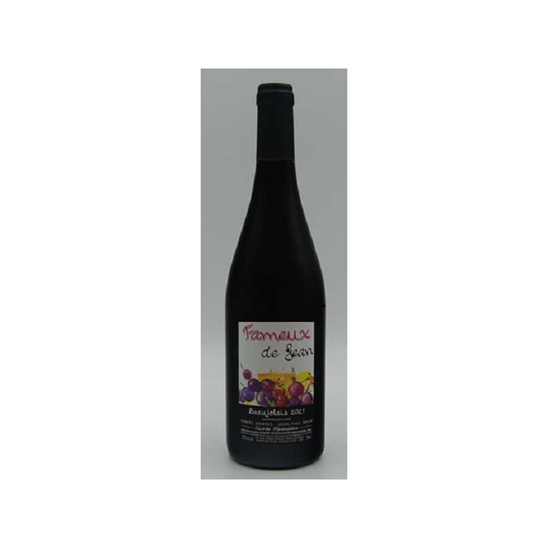 Domaine Jean-Paul Brun Beaujolais Première | French Red Wine
