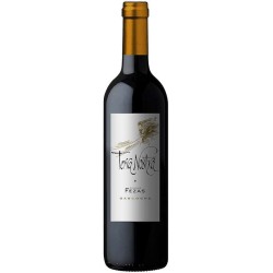 Domaine Chiroulet Terra-Nostra Hommage A Notre Terre | French Red Wine