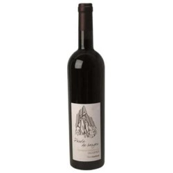 Domaine Cottebrune Pierre Gaillard - Faugeres Rouge Parole De Berge...
