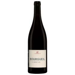 Y Amirault Le Grand Clos 2022 Bourgueil Rge Bio 75cl Crd | Vin rouge