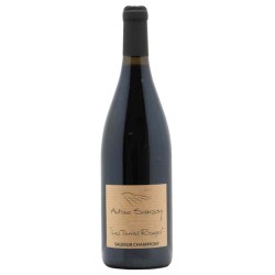 Domaine Antoine Sanzay Saumur-Champigny Les Terres Rouges - Vin Bio...