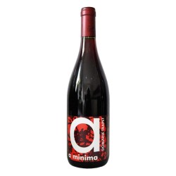 Domaine Trapet A Minima Bourgogne Passetout-Grains Rouge - Vin Bio ...