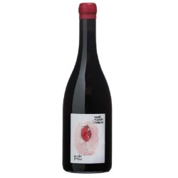 Domaine Des Grandes Esperances Touraine Amboise Rouge Les Ailes Pou...