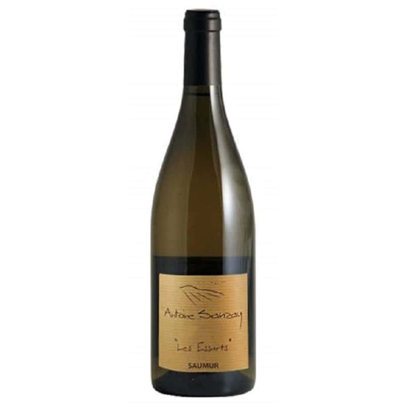 Domaine Antoine Sanzay Saumur-Champigny Les Essarts - Vin Bio | Fre... Domaine Antoine Sanzay Saumur-Champigny Les Essarts - Vin Bio | Fre...