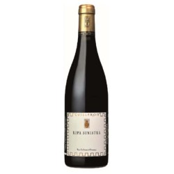 Cave Yves Cuilleron - Igp Collines Rhodaniennes Rouge Ripa Sinistra...