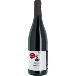 Anthony Perol Bien Eleve - Pierres Dorees - Vin Bio | French Red Wine