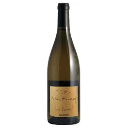 Domaine Antoine Sanzay Saumur-Champigny Les Essarts - Vin Bio | Fre...