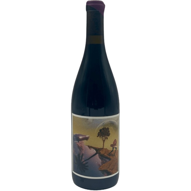 Domaine Berguerolles Back To The Serine | French Red Wine