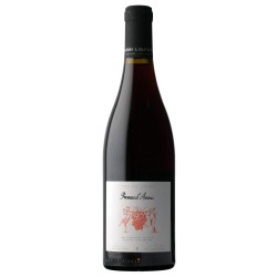 Découvrez le BAUDRY & DUTOUR "PINEAU D'AUNIS" 2023 ROUGE 75 CL CRD
