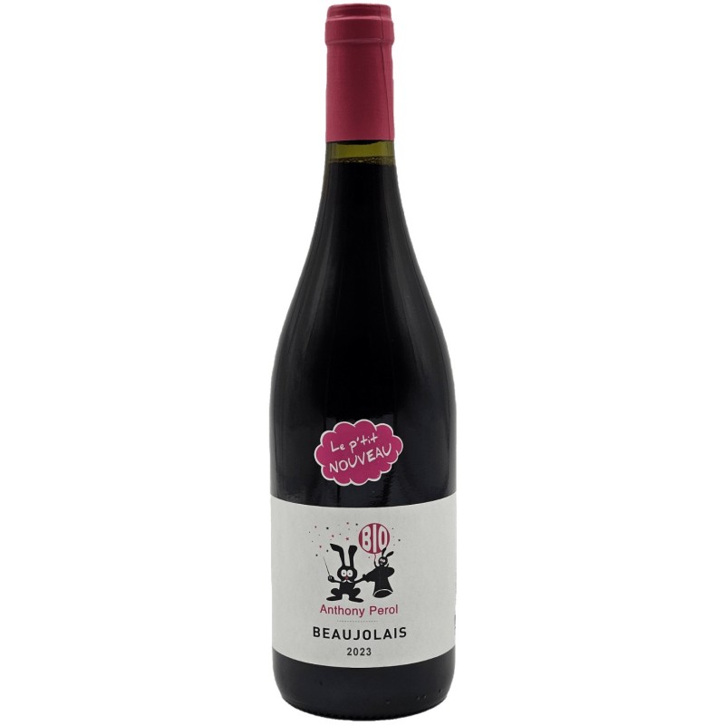 Anthony Perol Beaujolais Bio | French Red Wine