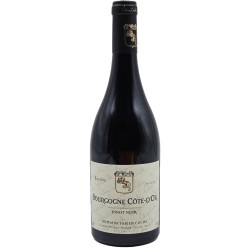 Domaine Fabien Coche Bourgogne Cote D'or Pinot Noir | French Red Wine