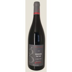 Domaine Gueguen Bourgogne La Vigne D'émile | French Red Wine