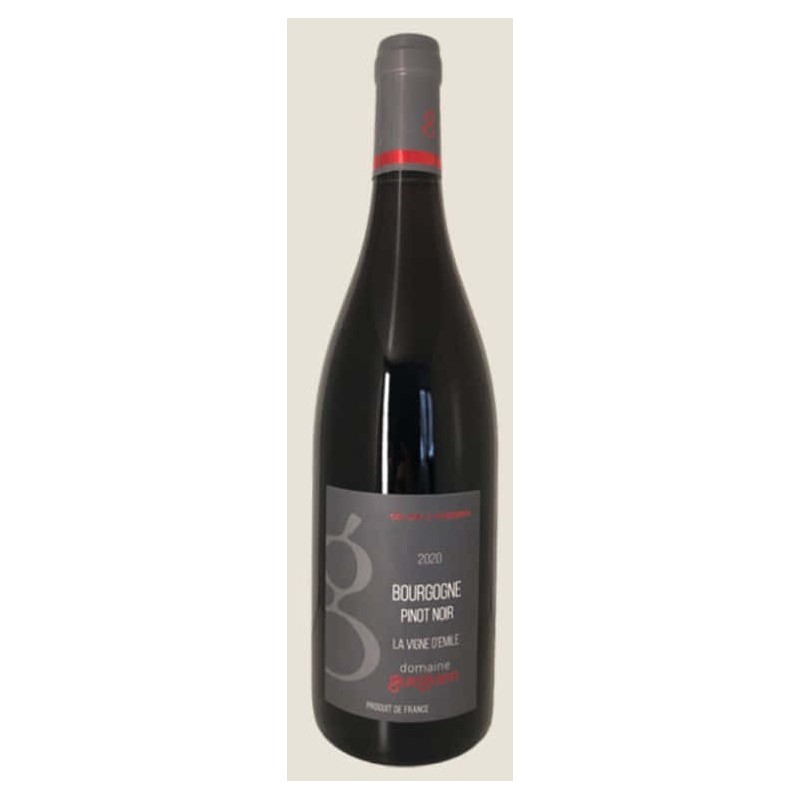 Domaine Gueguen Bourgogne La Vigne D'émile | French Red Wine