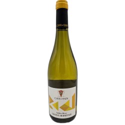Cave De Tain - Crozes-Hermitage Blanc | French White Wine