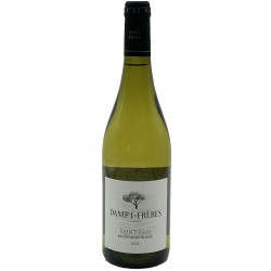DOMAINE DAMPT "SAUVIGNON DE SAINT-BRIS" 2024 SAINT-BRIS BLANC 75 CL CRD - Vin Blanc de Bourgogne