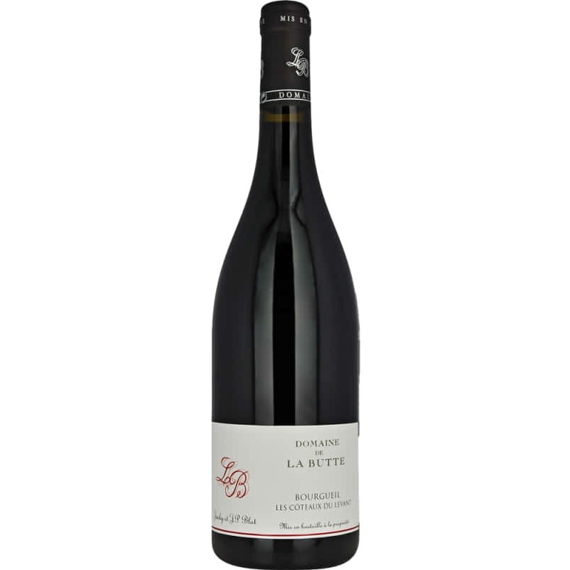 Domaine De La Butte Bourgueil Coteaux Du Levant | French Red Wine