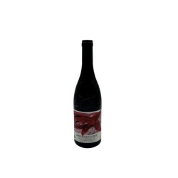 Domaine Isabel Ferrando Chateauneuf-Du-Pape Colombis - Vin Bio | Fr...