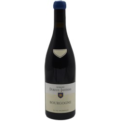 Domaine Dureuil-Janthial - Bourgogne Rouge | French Red Wine