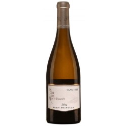 HENRI BOURGEOIS CÔTE DES MONTS DAMNÉS 2023 SANCERRE BLANC 75 CL CRD - Vin de Sancerre de renom