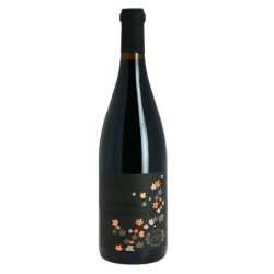 Domaine Olga Raffault Chinon La Singuliere | French Red Wine