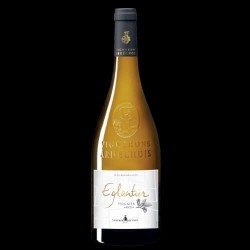Découvrez le Vigneron Ardechois Eglantier IGP Ardèche Blanc 75 cl CRD - Vin Blanc de Qualité