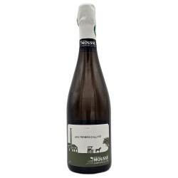 Famille Mousse les Terres d'Illites Champagne Brut — Champagne |Fre...