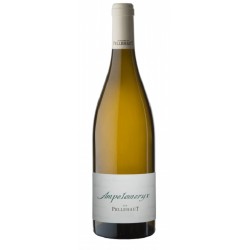 Domaine De Pellehaut Ampelomeryx Blanc | French White Wine