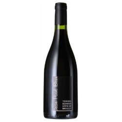 Domaine Jean-Paul Brun Cote De Brouilly | French Red Wine