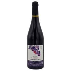 Domaine Jean-Paul Brun Beaujolais Première | French Red Wine