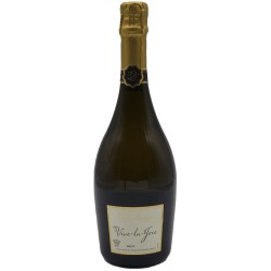 Bailly Vive La Joie 2019 Cremant Blc 75cl Crd |French Champagnes & ...