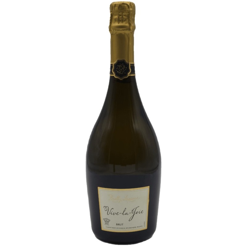 Bailly Vive La Joie 2019 Cremant Blc 75cl Crd |French Champagnes & ...