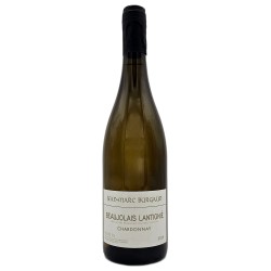 Domaine Jean-Marc Burgaud Beaujolais Village - Exquisite Red Wine