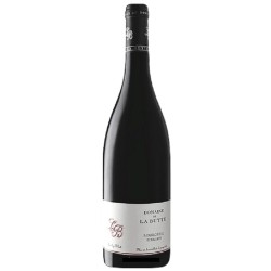 Domaine De La Butte Bourgueil Les Perrieres | French Red Wine