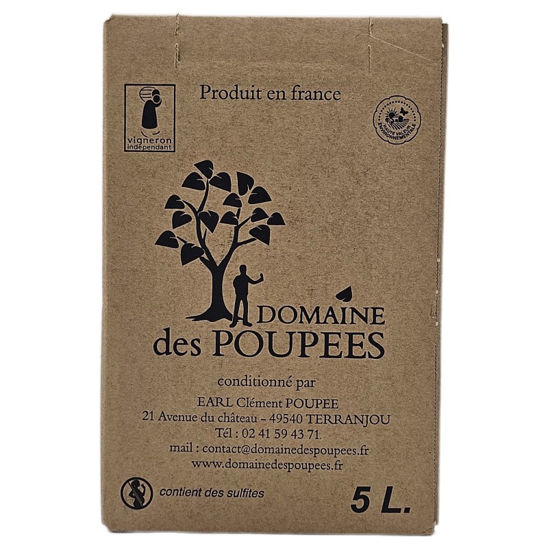 Domaine des poupees Cabernet D'anjou - Bib 5 Litres: Refreshing Rosé Wine