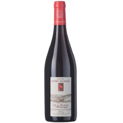 Domaine Patrick Baudouin Anjou Rouge Coteaux D'ardenay | French Red...