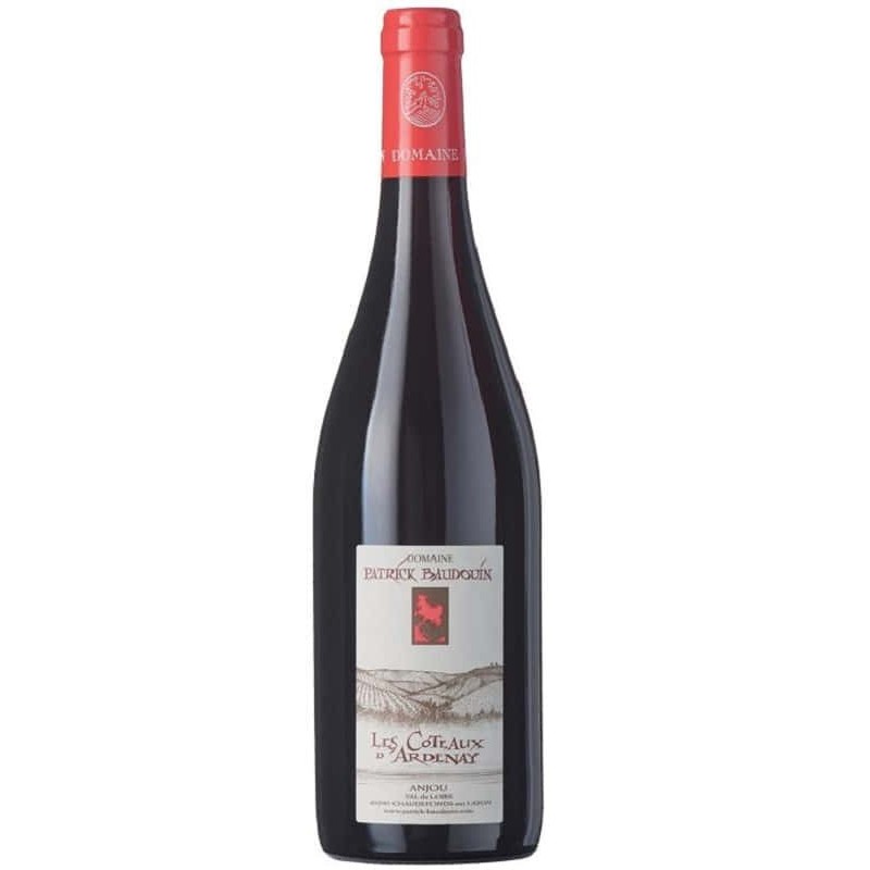 Domaine Patrick Baudouin Anjou Rouge Coteaux D'ardenay | French Red...