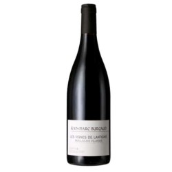 Domaine Jean-Marc Burgaud Beaujolais Village Les Vignes De Lantigni...